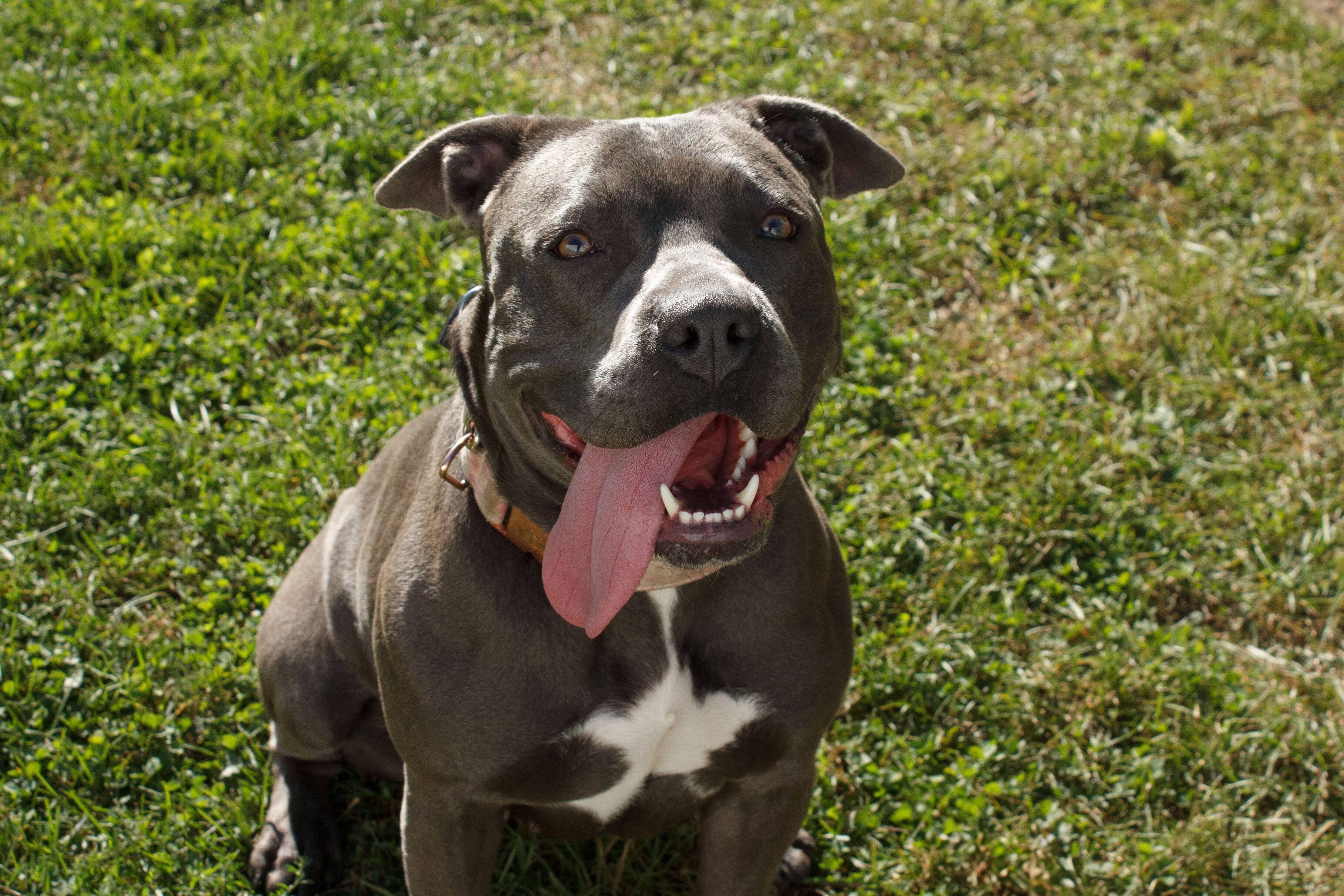 Faith — thumbnail 5