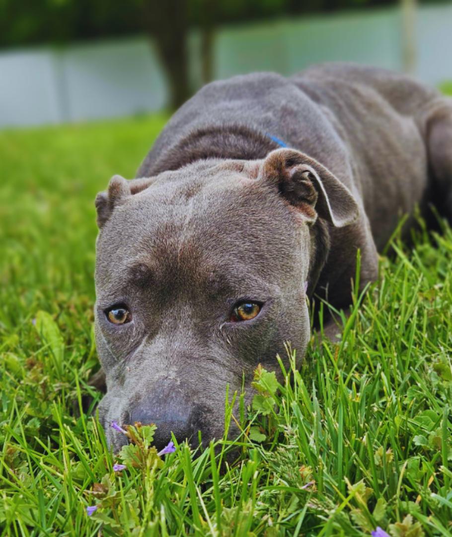 Faith — thumbnail 6