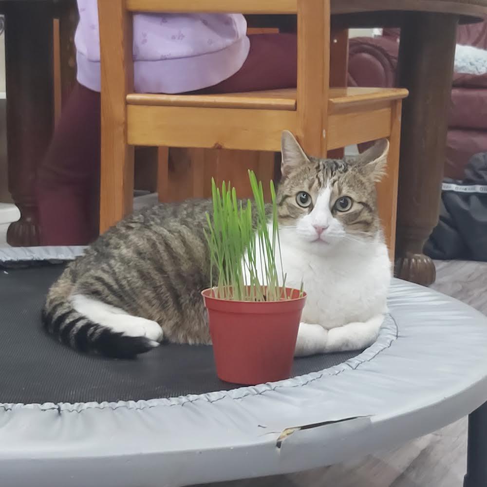 Winslow — thumbnail 2