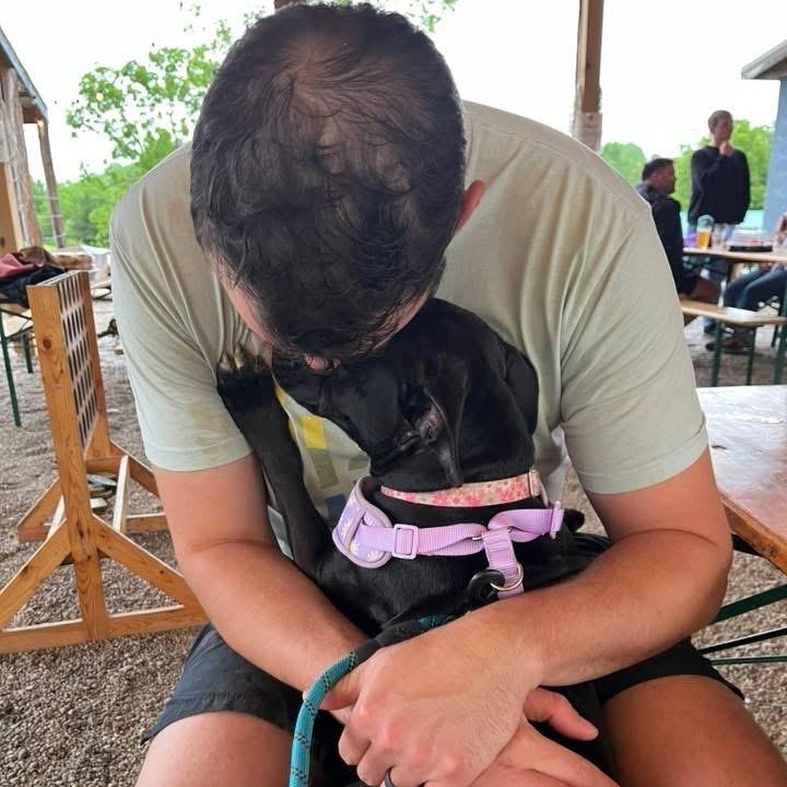 Enlarge Rosa, a ADOPTABLE mixed breed in Louisville, KY image 5/6