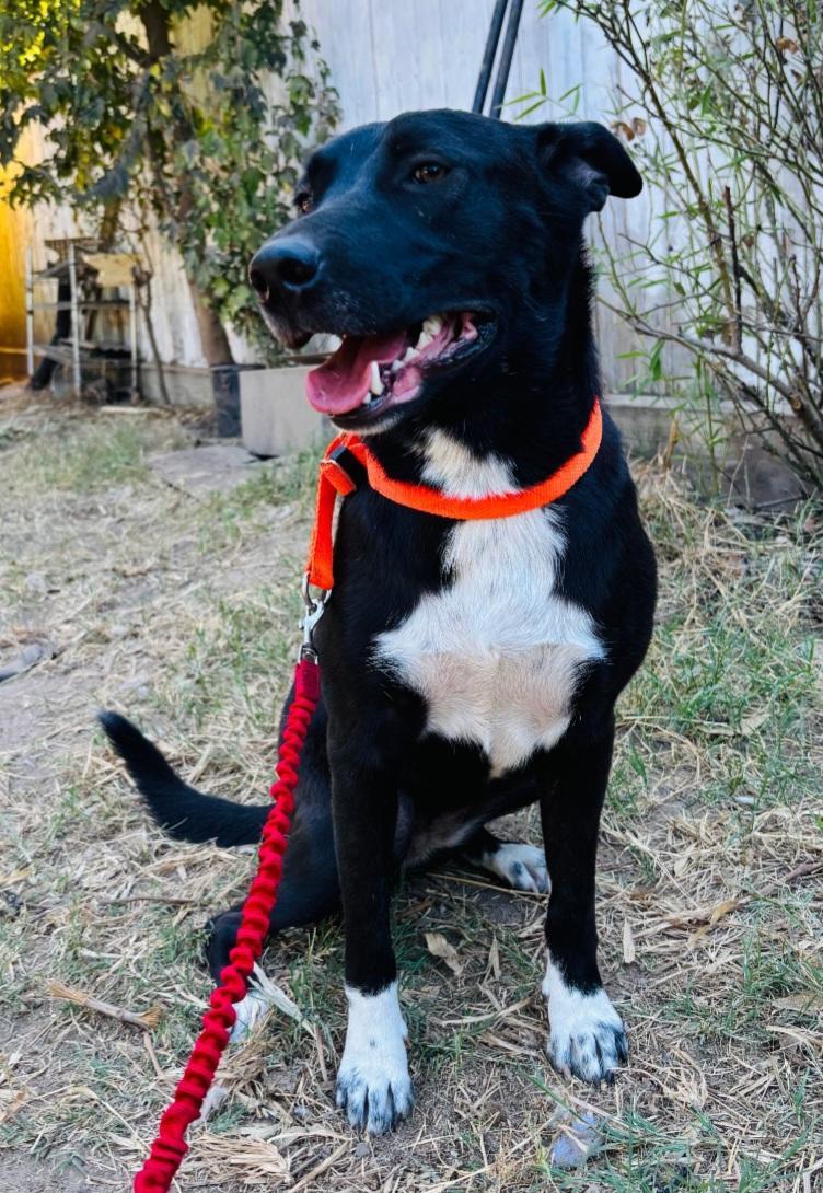 Cinderella thumbnail 2