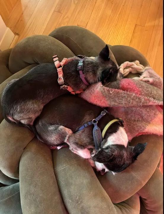 Rush — thumbnail 3