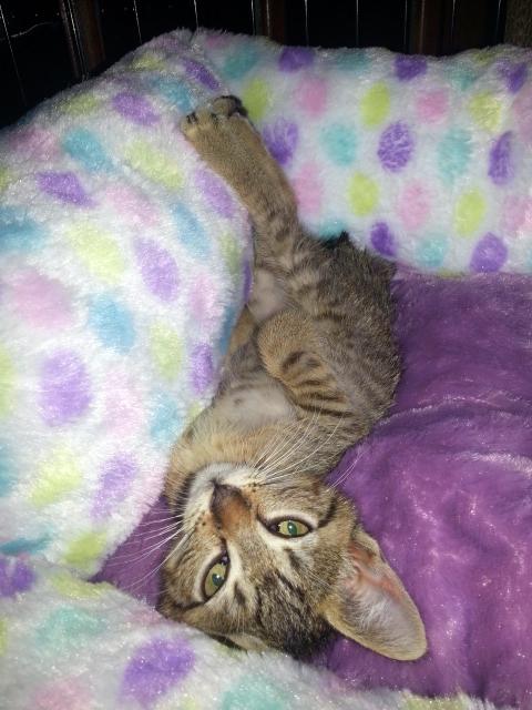 Frank — thumbnail 2