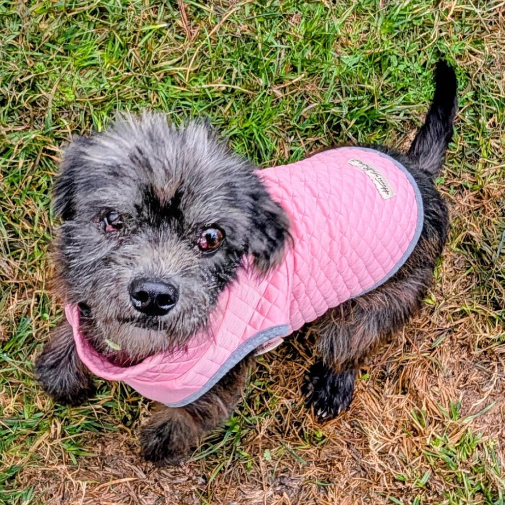 Churro Cinnamon — thumbnail 2