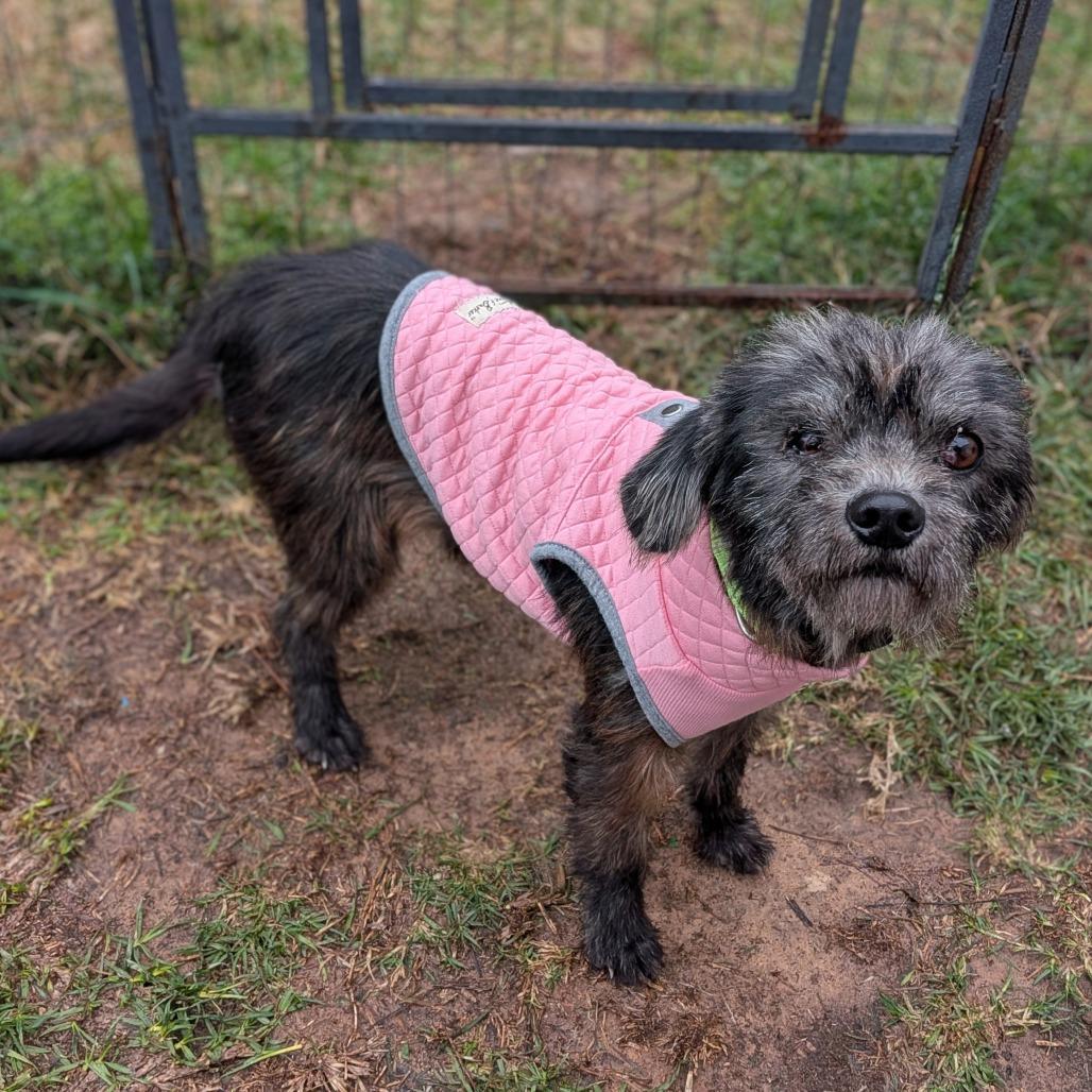 Churro Cinnamon — thumbnail 3