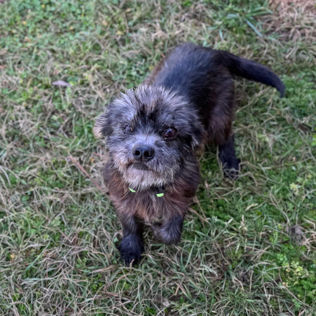 Churro Cinnamon — thumbnail 4