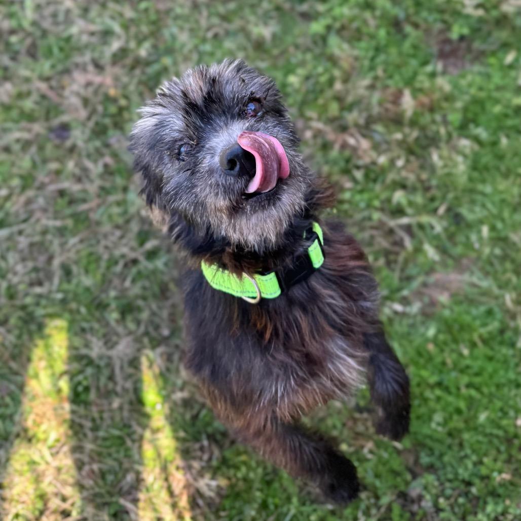 Churro Cinnamon — thumbnail 5