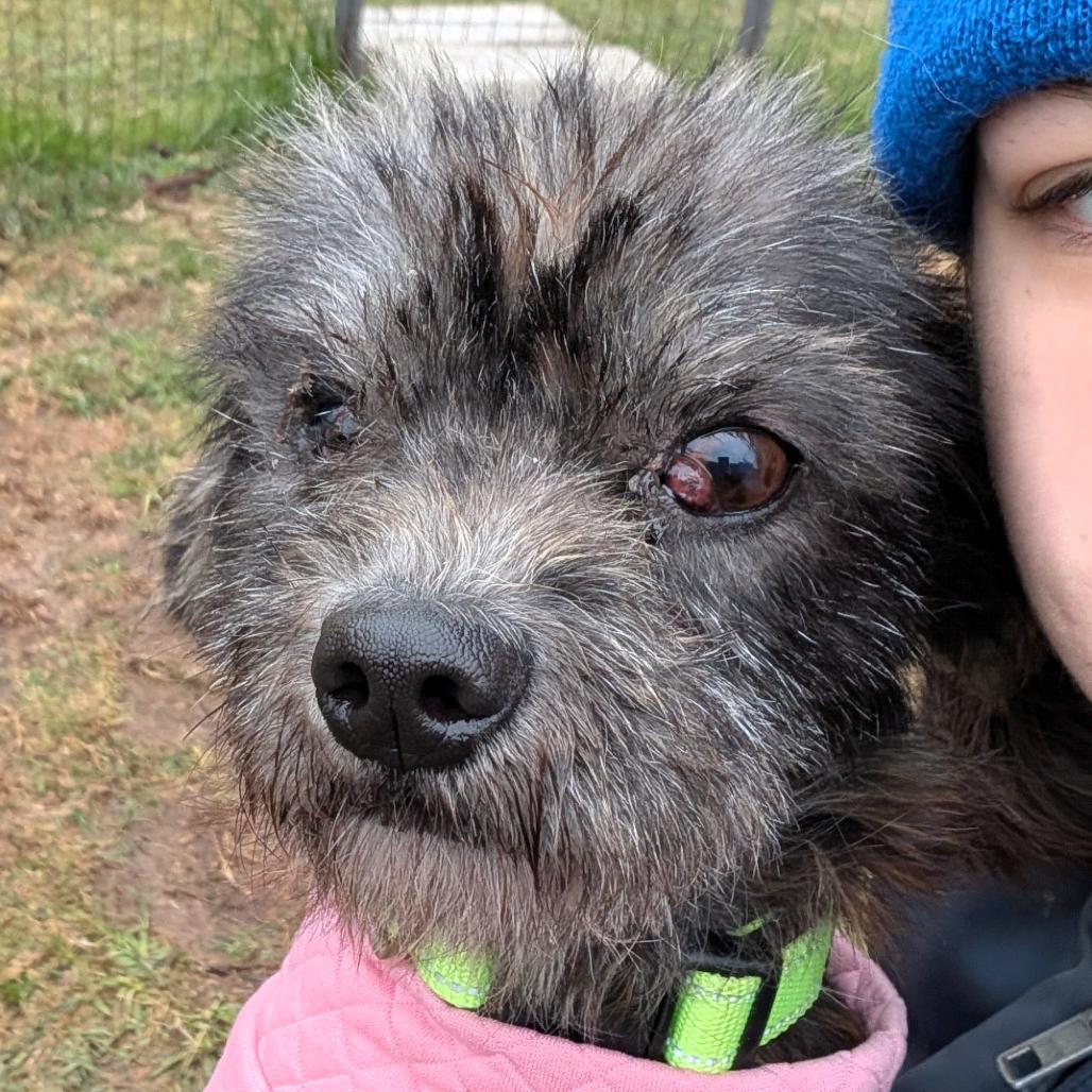 Churro Cinnamon — thumbnail 6