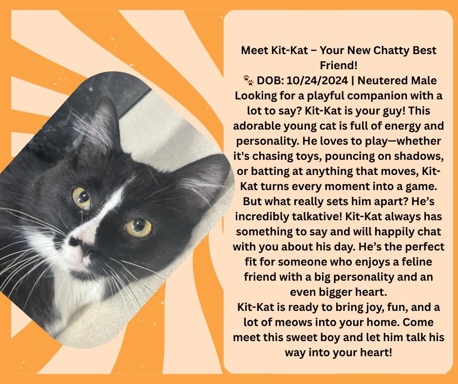 Kit-Kat