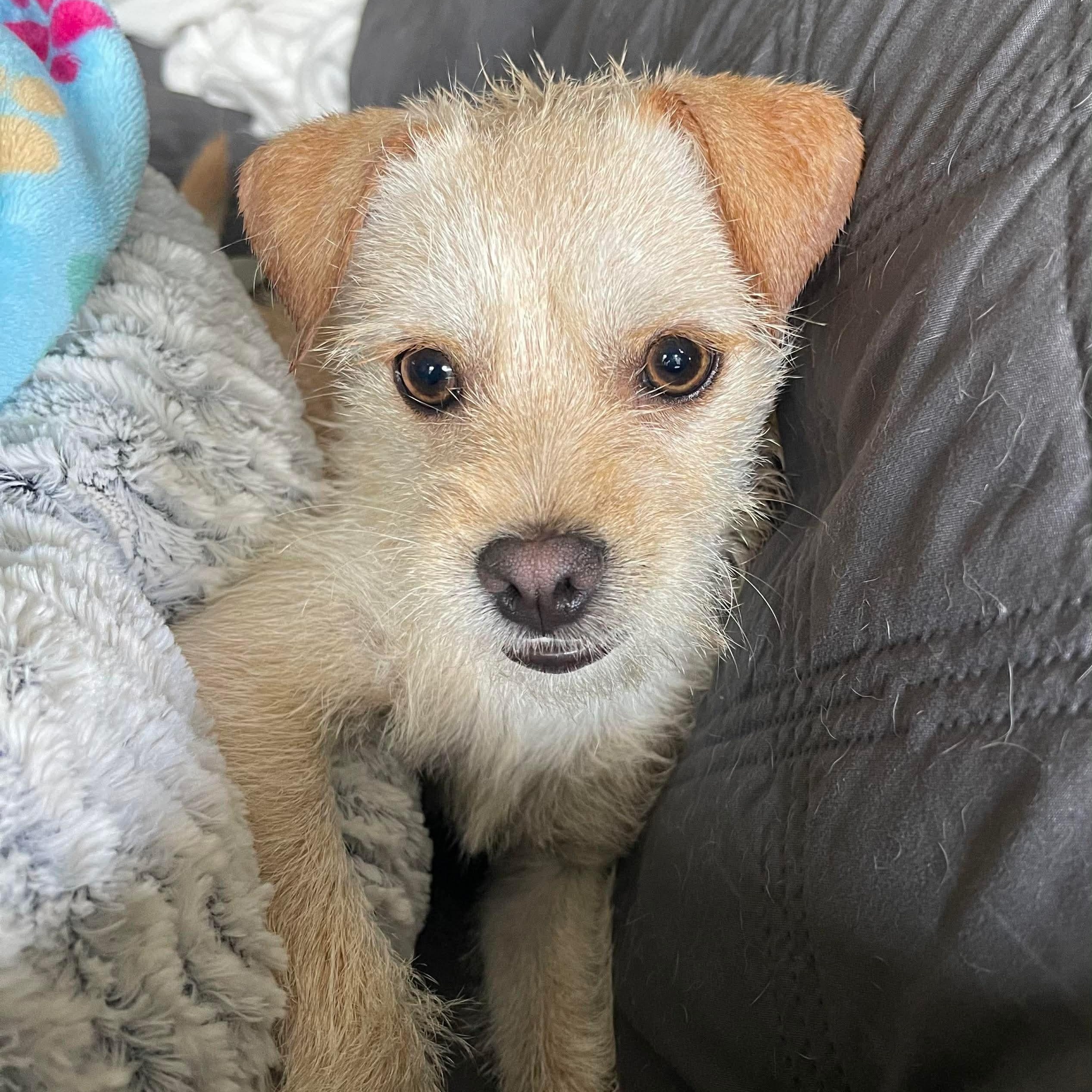 Thomas — thumbnail 2