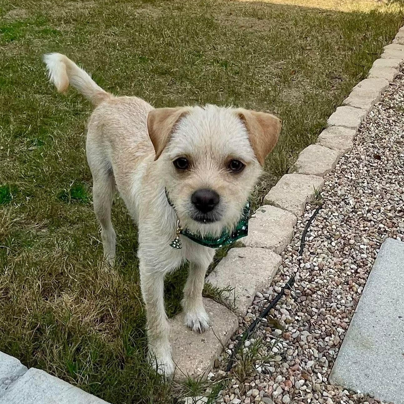 Thomas — thumbnail 3