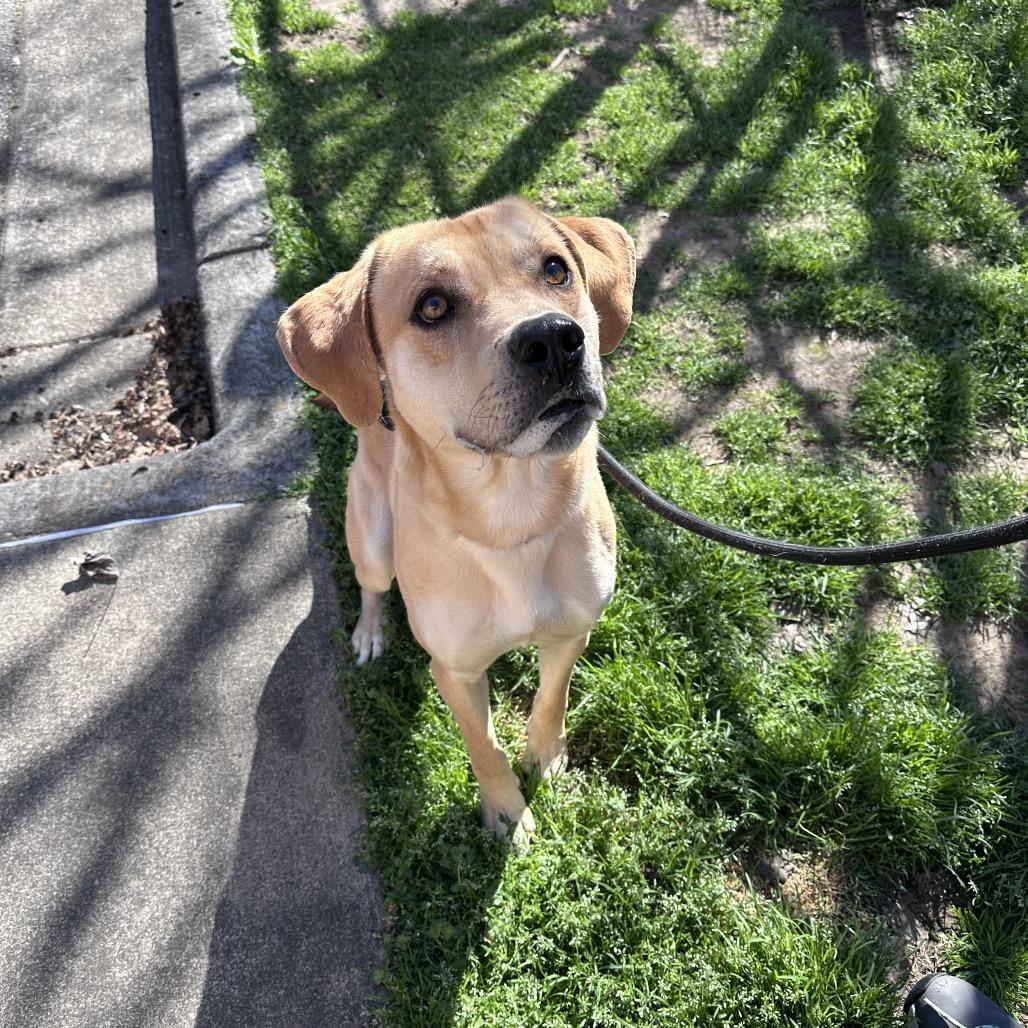 James Cameron — thumbnail 2