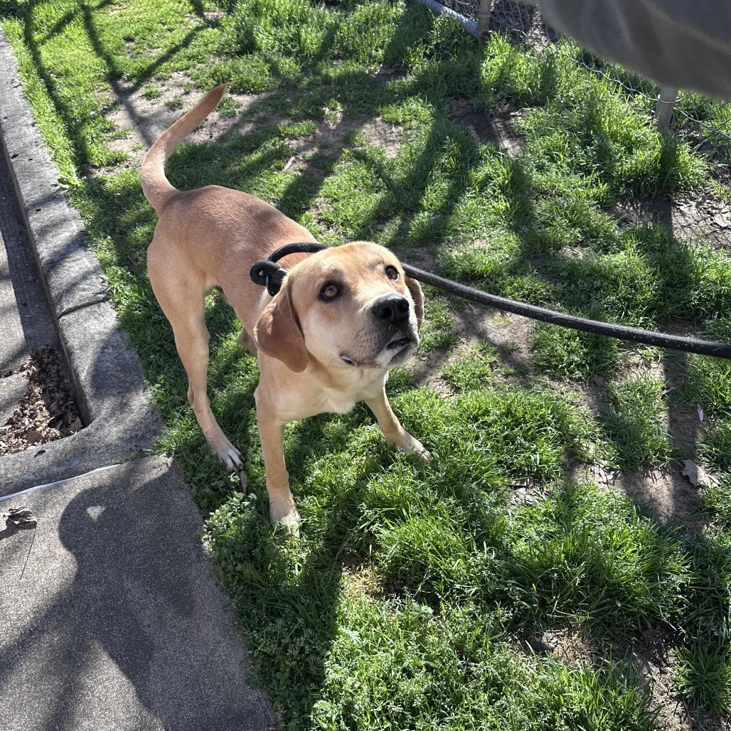 James Cameron — thumbnail 3