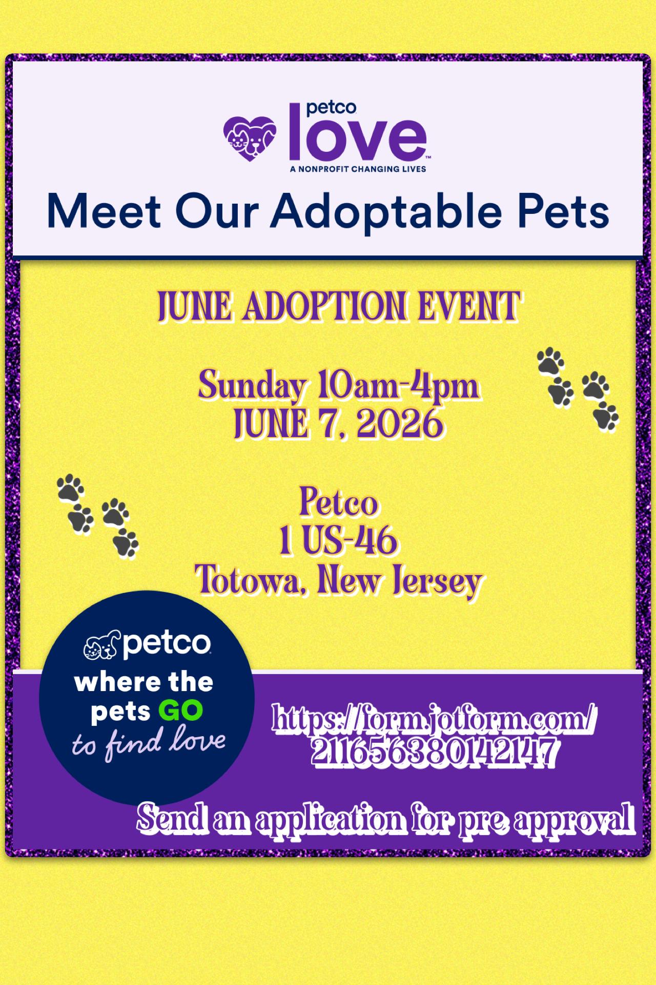 Enlarge Rhea, a Adoptable mixed breed in Totowa, NJ image 3/3