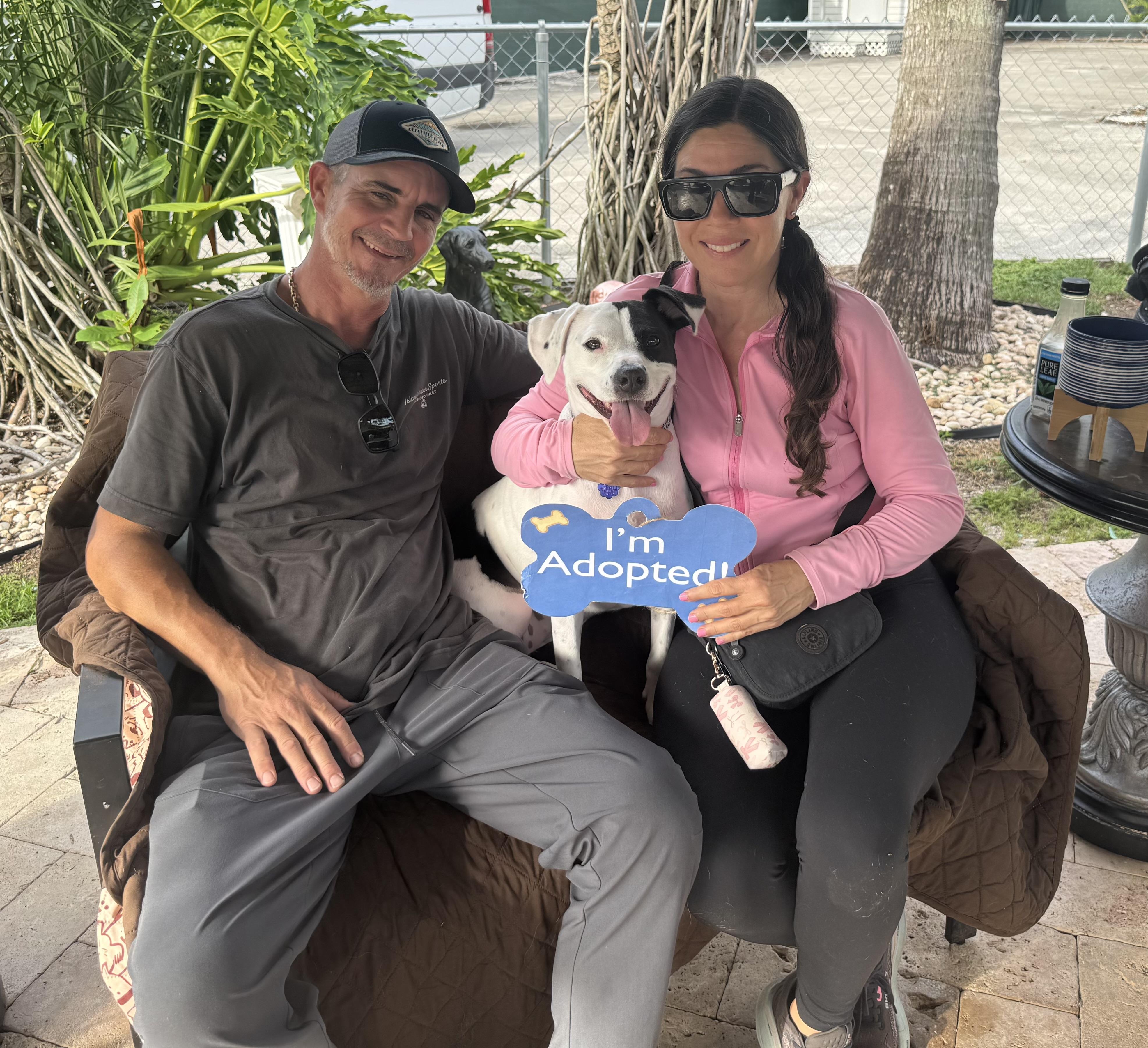 Enlarge Topanga, an adopted mixed breed in Lake Worth, FL image 2/3