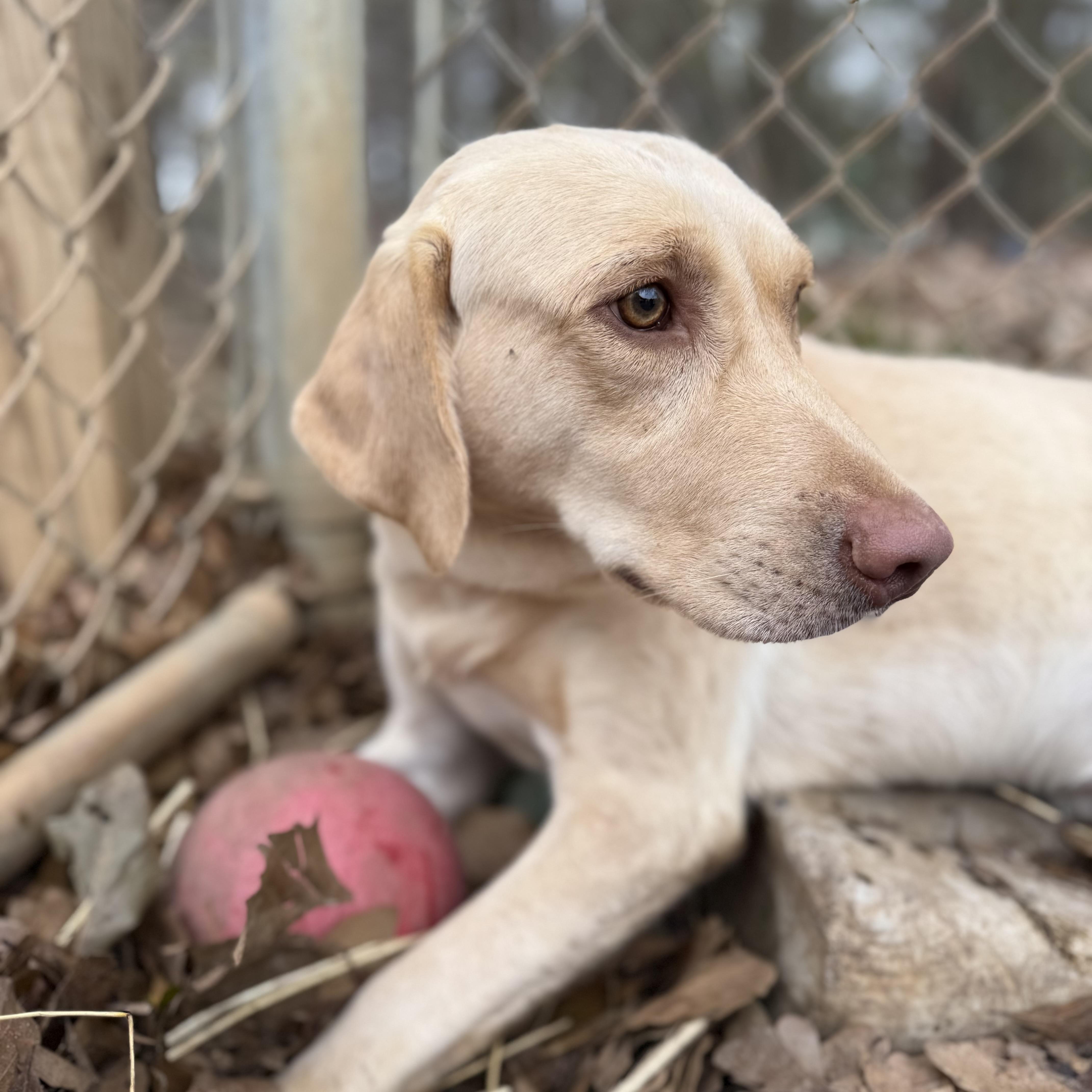 Steve Harvey — thumbnail 6