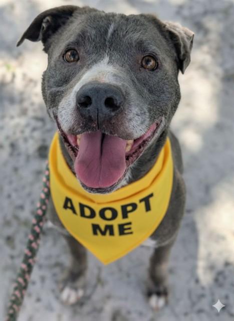 BRANCH — thumbnail 3