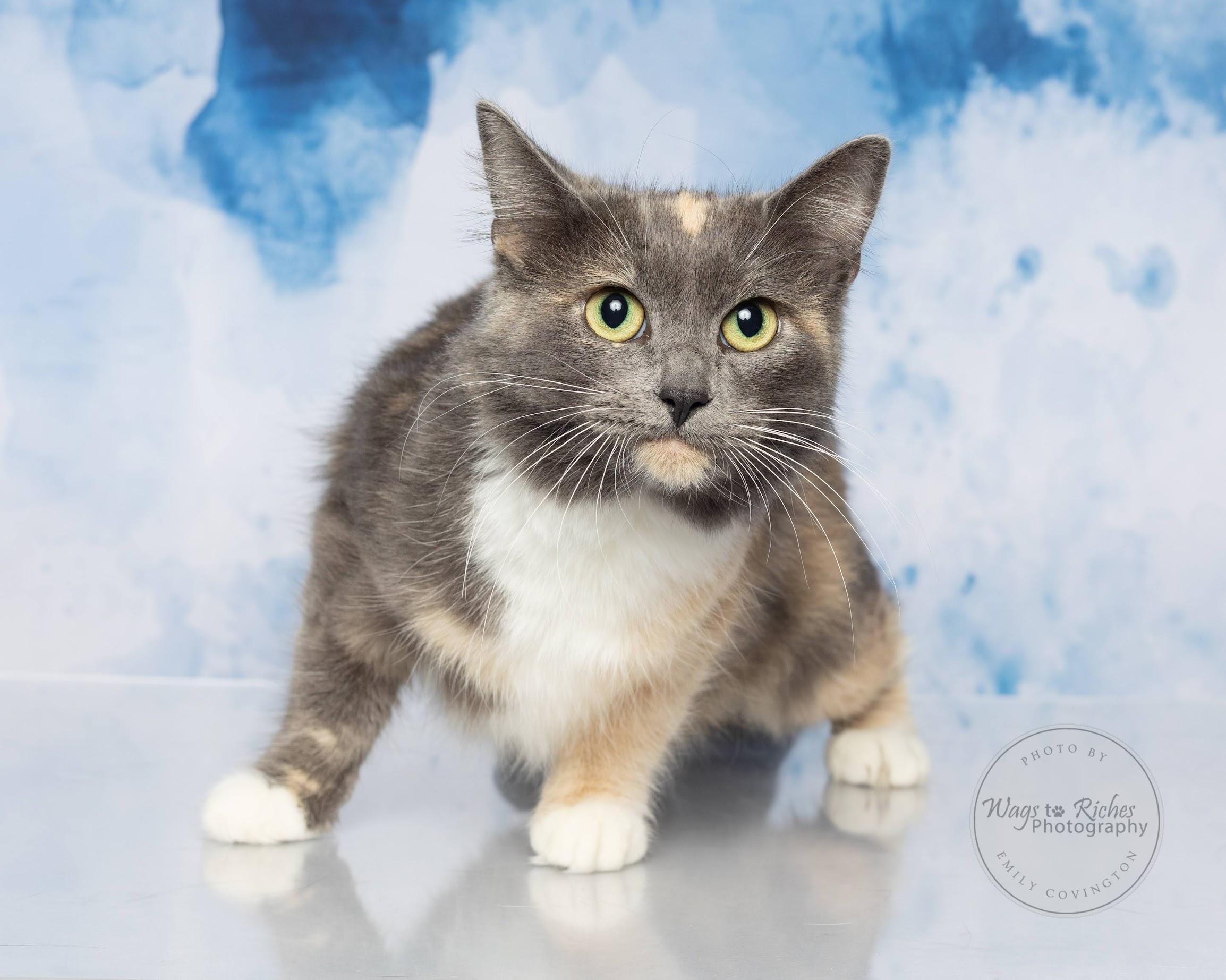 Coral  In The thumbnail 6