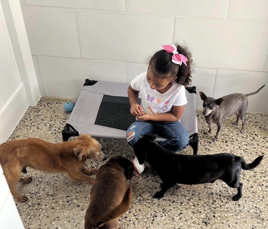 Boran — thumbnail 6