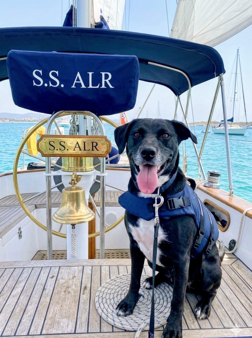 Kenny - In CT, Adoptable, Young Male Black Labrador Retriever & Labrador Retriever.