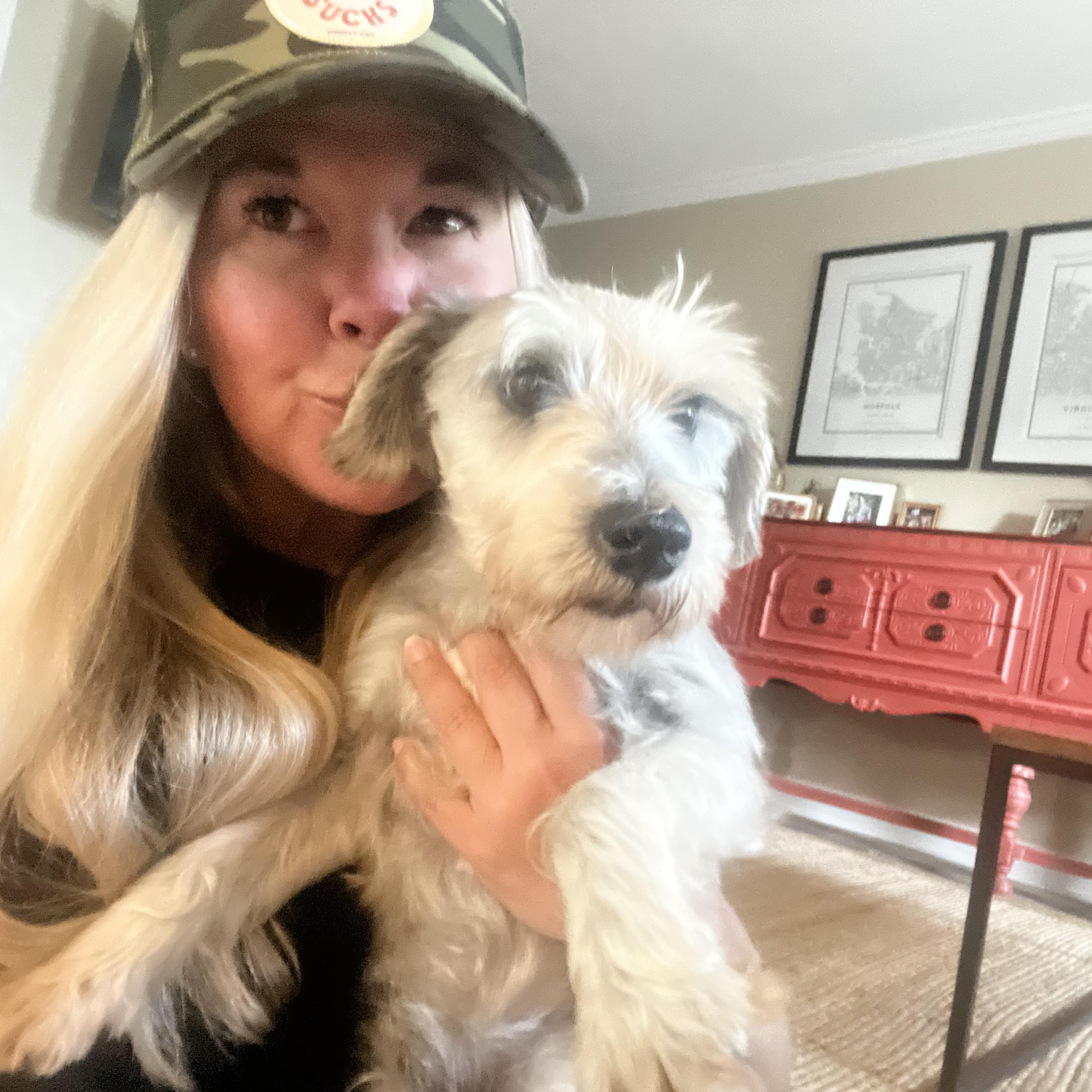 Bobby Darrin, a ADOPTABLE Miniature Schnauzer in Virginia Beach, VA image 4/5