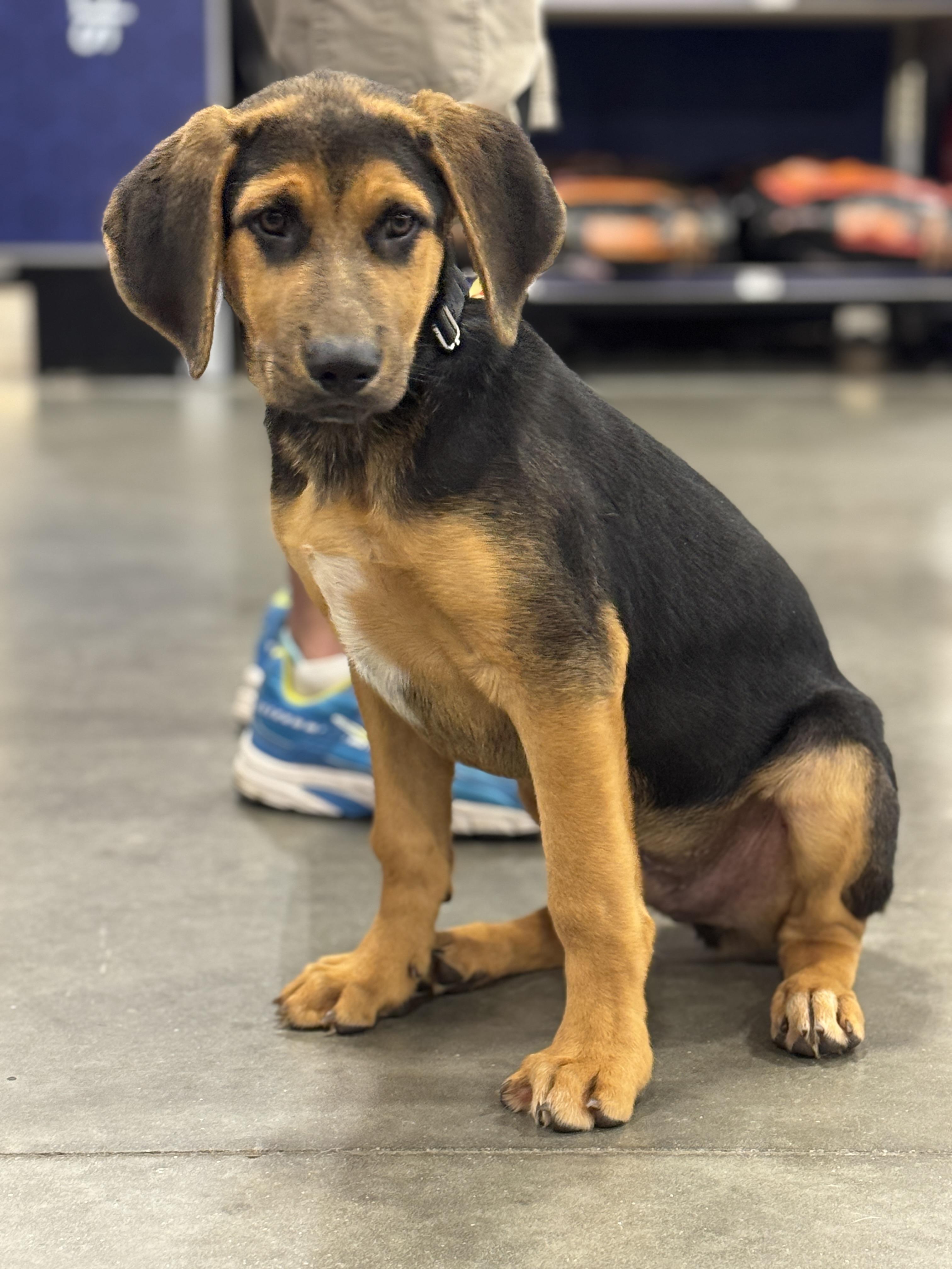 Barkley