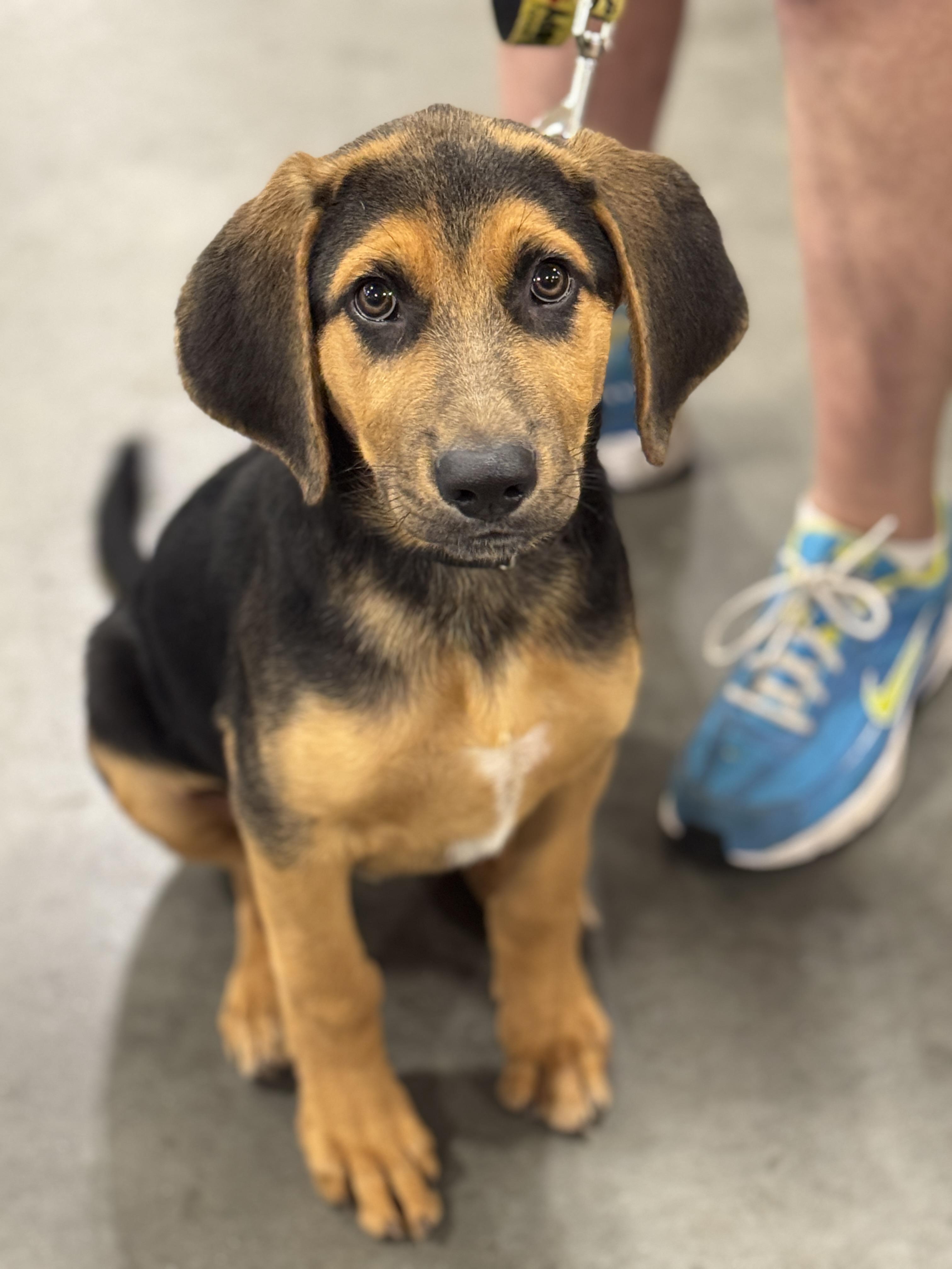 Barkley