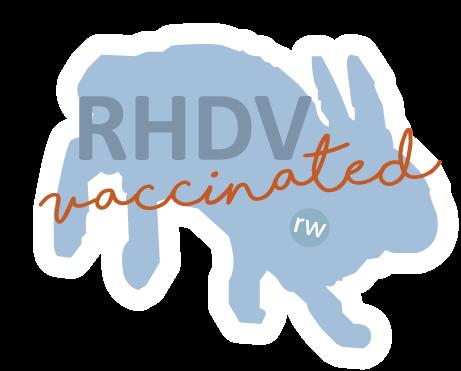 Posey, a Adopted Rex in Pittsburgh, PA image 5/5