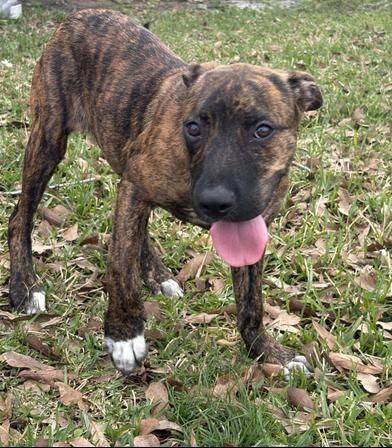 Midnight — thumbnail 5