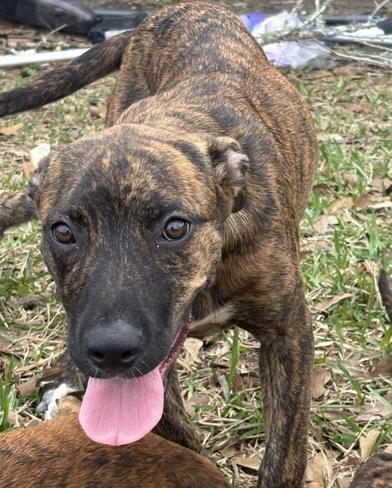 Midnight — thumbnail 6