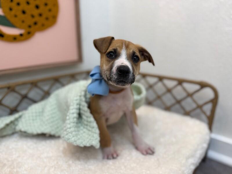 Luke Lover Boy — thumbnail 2