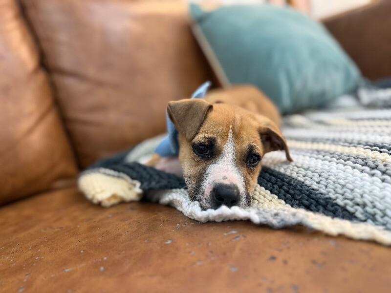 Luke Lover Boy — thumbnail 3