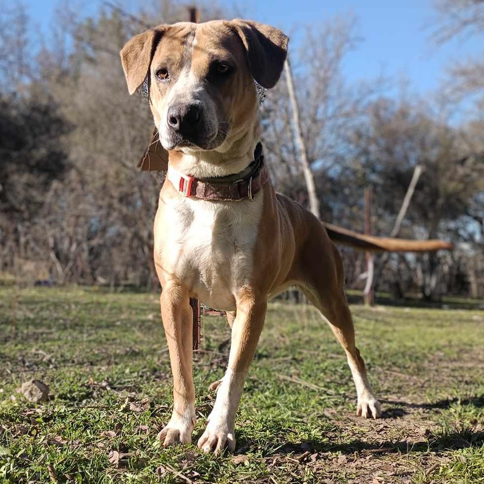 Dancer — thumbnail 2