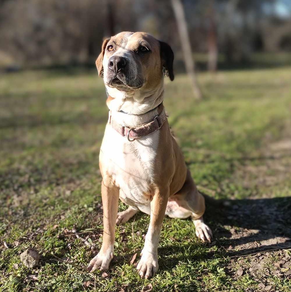 Dancer — thumbnail 3