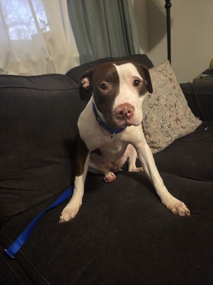 Mariana — thumbnail 2