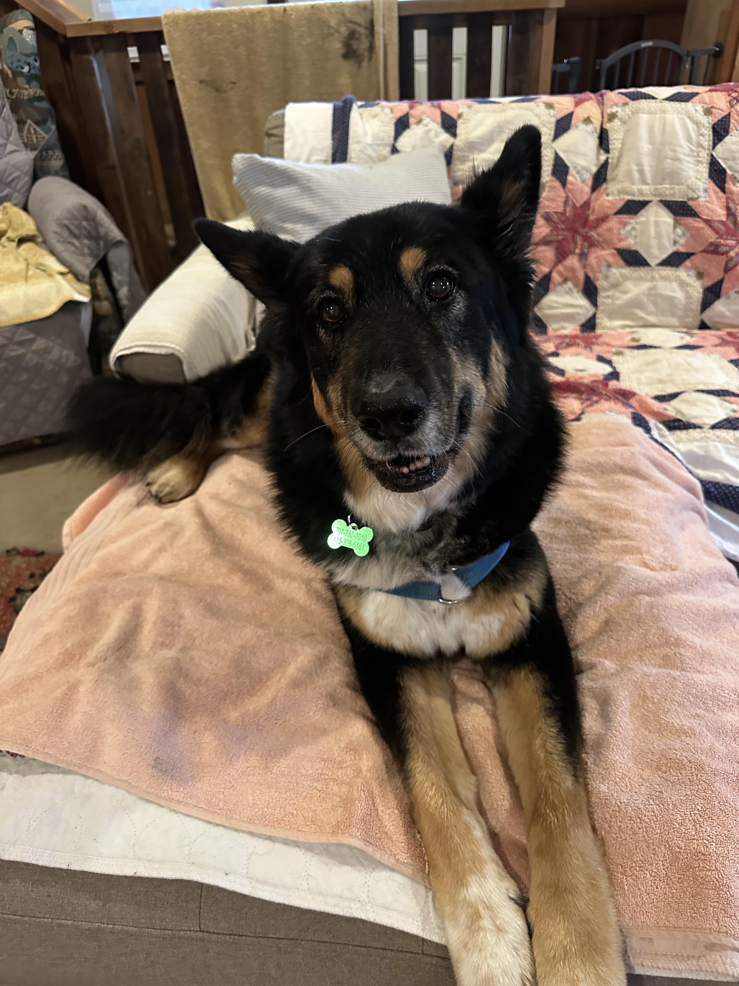 Precious — thumbnail 7