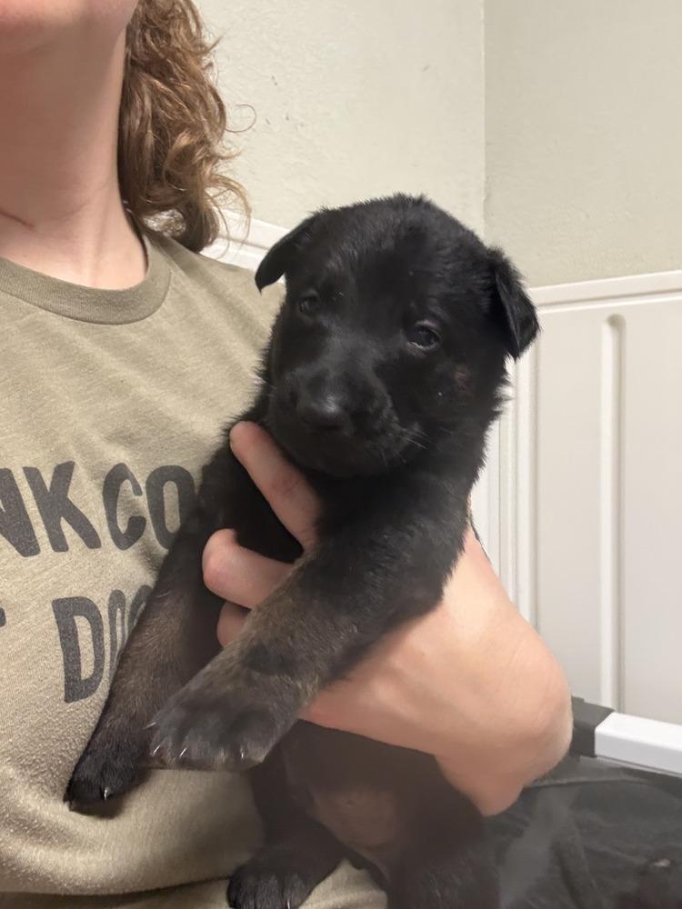 Lakeland Lookers - Bannan - Located in FL — thumbnail 2