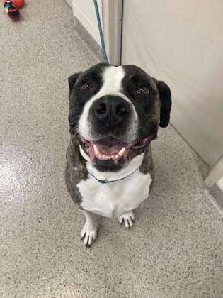 Miles — thumbnail 2