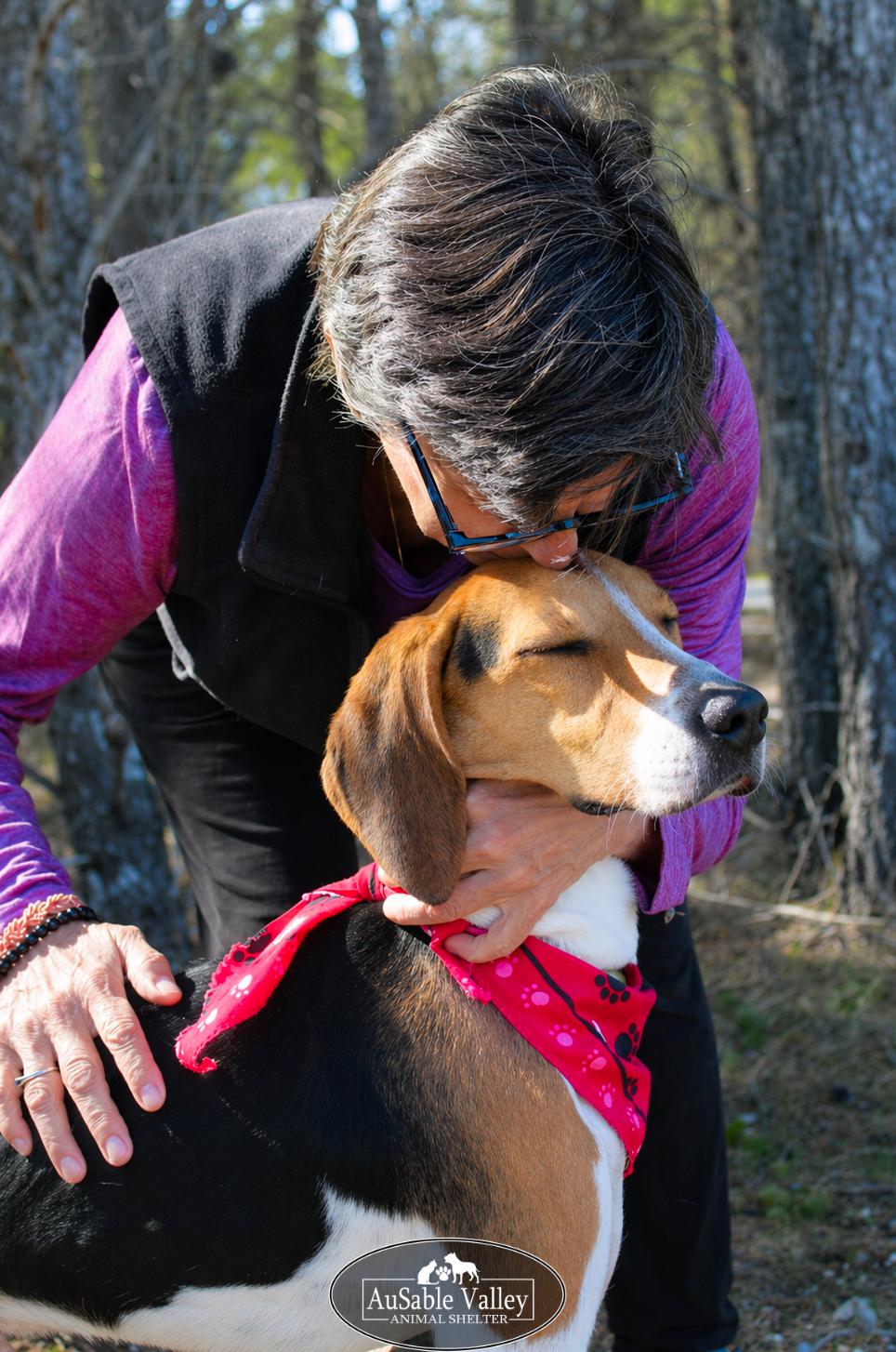 Enlarge Kellogg, a ADOPTABLE mixed breed in Grayling, MI image 6/6