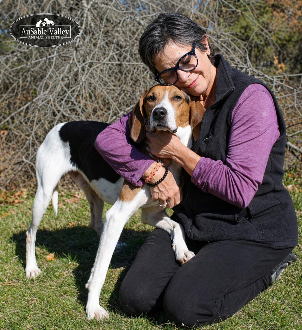 Enlarge Kellogg, a ADOPTABLE mixed breed in Grayling, MI image 4/6