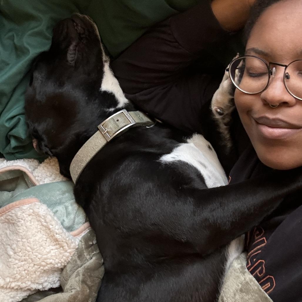 Enlarge Bubba, a Adoptable English Bulldog in Sonoma, CA image 3/5