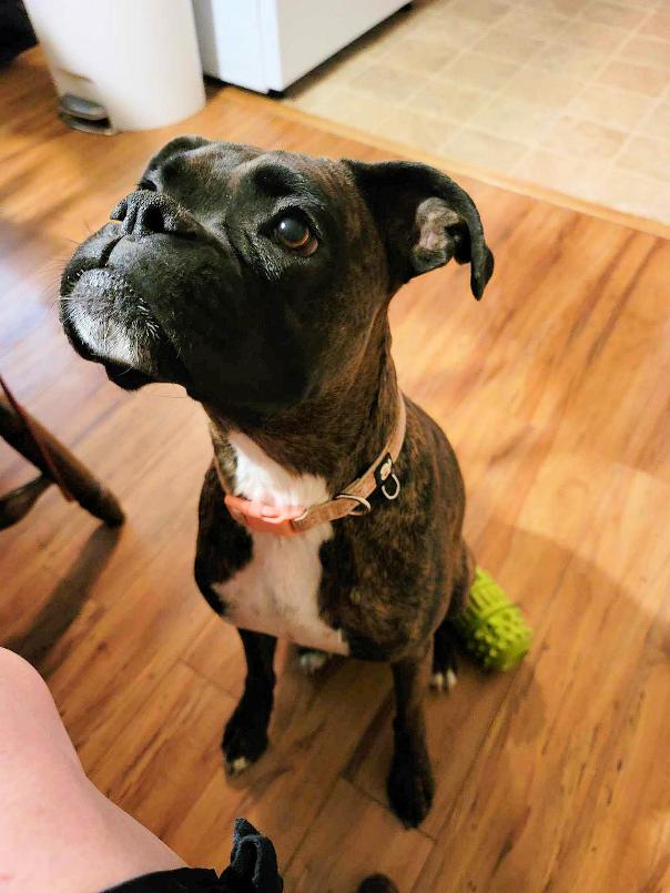 Bella