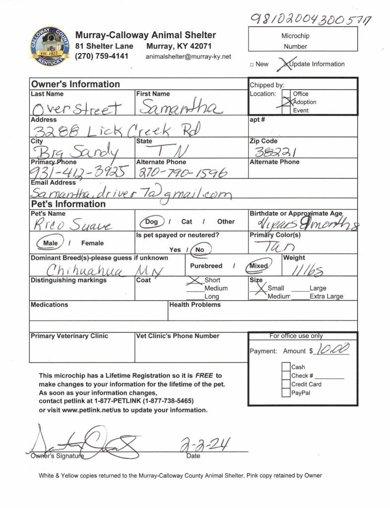 Enlarge Rico Suave (Jordan), a Adopted mixed breed in Murray, KY image 2/2