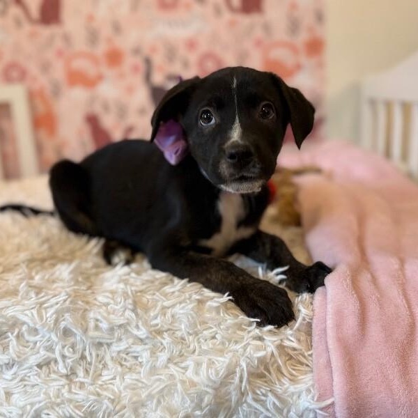 Brandy Old Fashioned Wisconsin — thumbnail 5