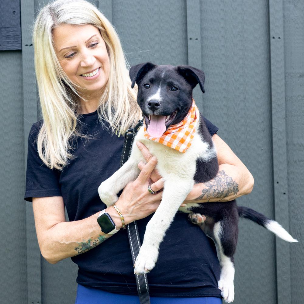 Enlarge Oregano  (Male)   , a Adoptable mixed breed in West Grove, PA image 3/6