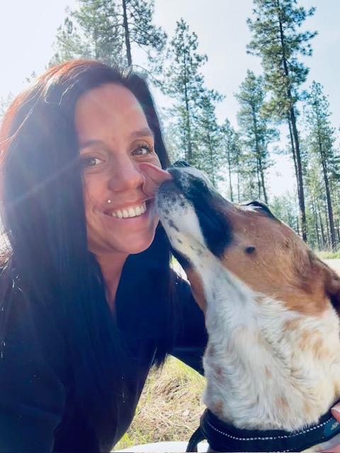 Sky, a Adopted mixed breed in Libby, MT image 3/5