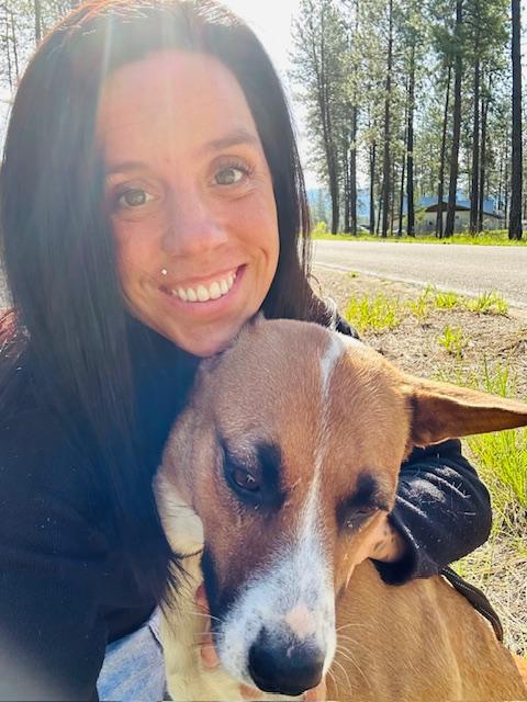 Sky, a Adopted mixed breed in Libby, MT image 2/5