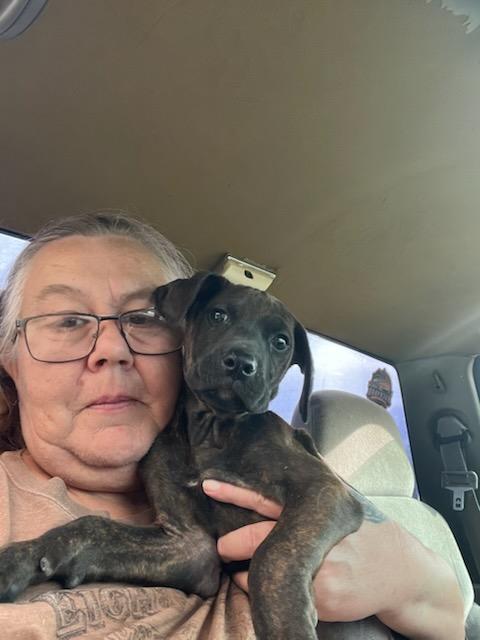 Dill, a Adoptable mixed breed in Reno, NV image 5/6