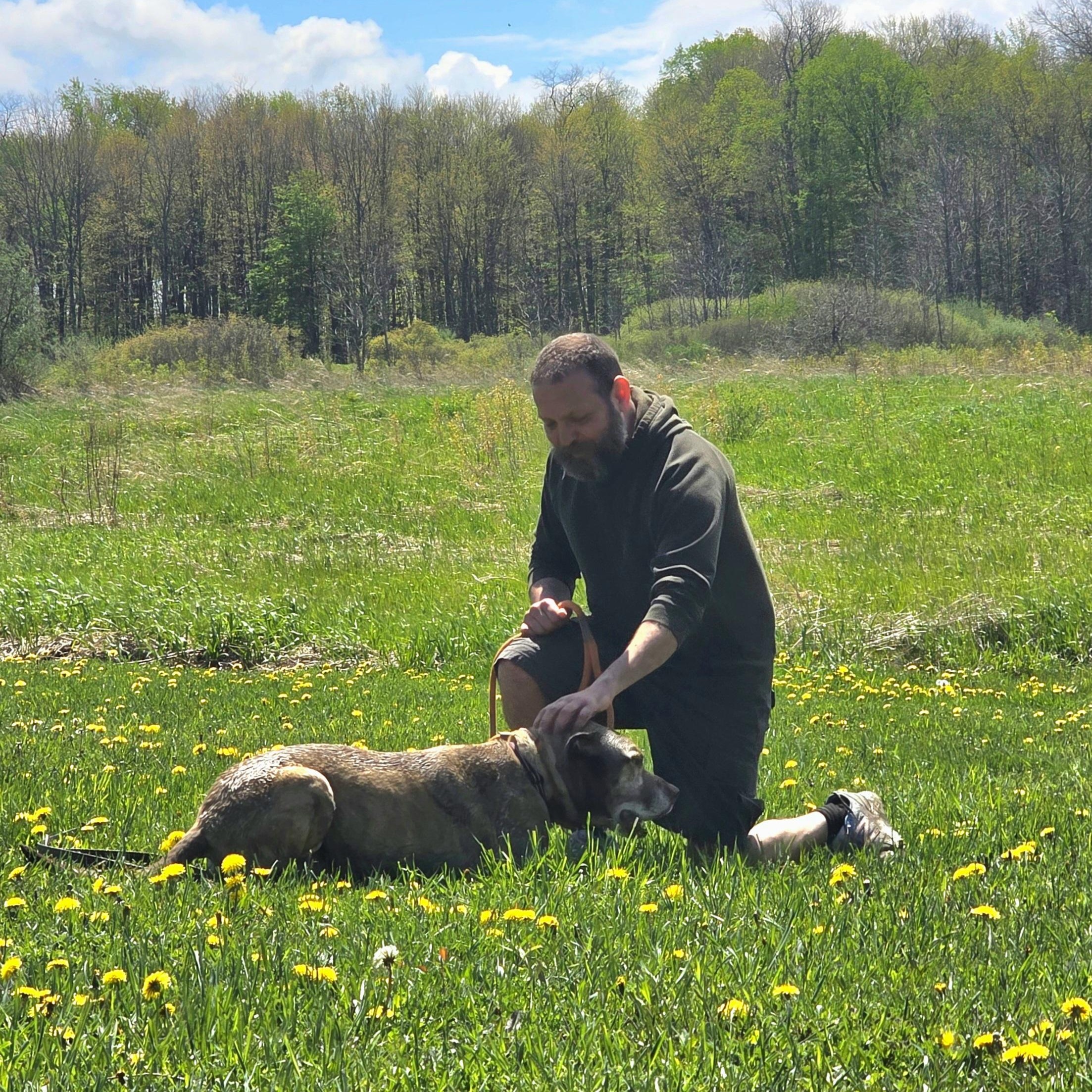 Scotch, a Adoptable mixed breed in Darien Center, NY image 6/6