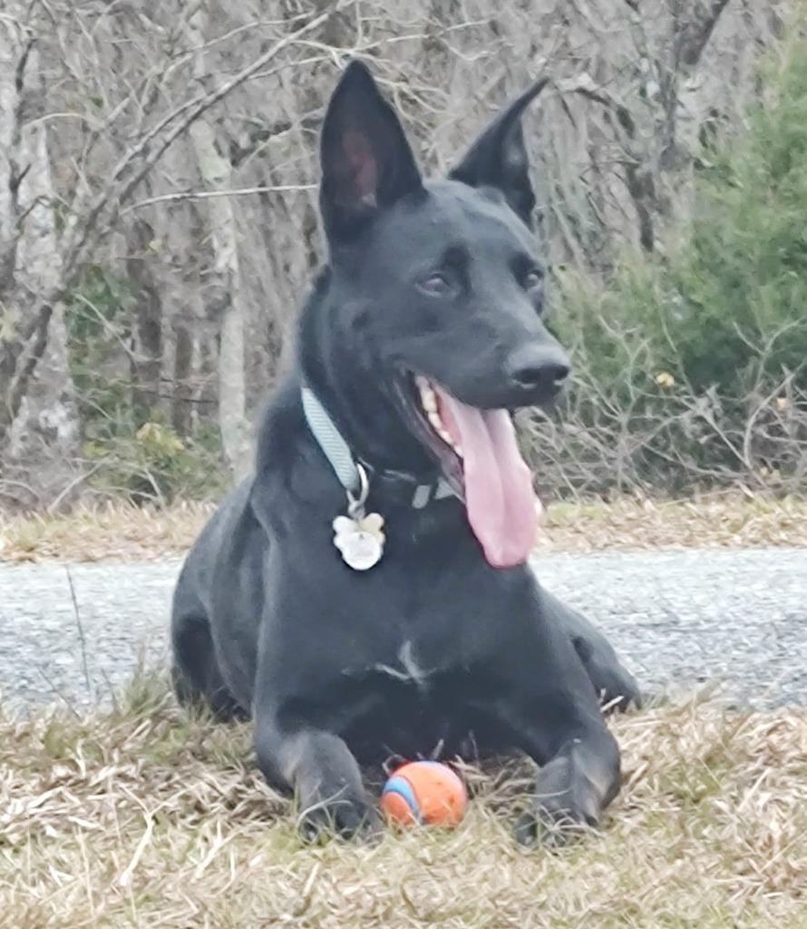 Harvey — thumbnail 2